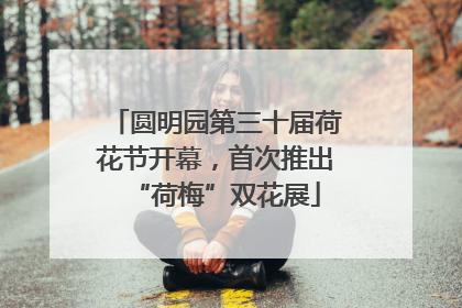 圆明园第三十届荷花节开幕，首次推出“荷梅”双花展